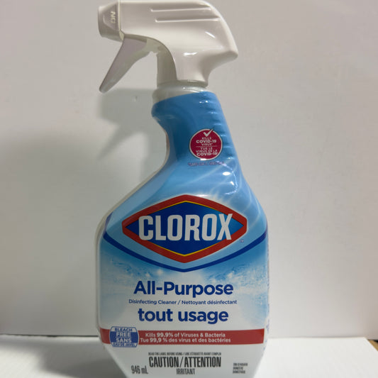 CLOROX CLEAN-UP SPRAY ALL PURPOSE  9/32oz
